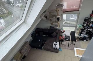 Wohnung mieten in 57555 Mudersbach, 2-Zimmer-Dachgeschosswohnung mit Galerie und eigenem Garten