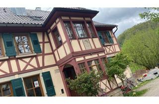 Wohnung mieten in Wagrain, 74545 Michelfeld, Super schöne, helle 2-Zimmer-Wohnung mit Balkon und EBK in Michelfeld