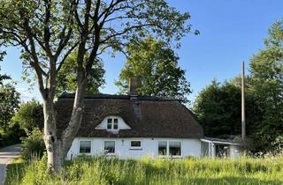 Haus kaufen in 24407 Rabenkirchen-Faulück, Charmante Reetdachkate auf wunderschönem, großem Grundstück