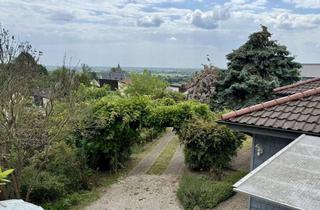 Haus mieten in 64673 Zwingenberg, Vollständig renoviertes Einfamilienhaus in traumhafter Lage in Zwingenberg für 2 Jahre zu vermieten