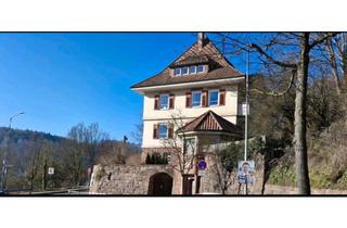 Wohnung kaufen in 75365 Calw, Calw - Historische Wohnung mit modernem Flair