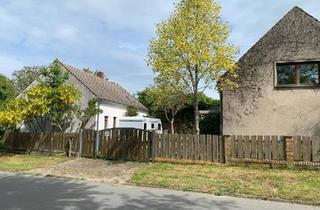 Haus kaufen in 04880 Dommitzsch, Dommitzsch - 2 Häuser zum Preis von Einem