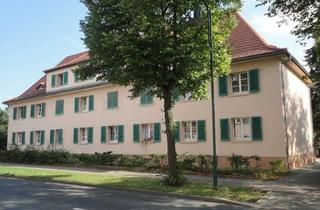 Wohnung mieten in Straße Der Freundschaft 69, 02991 Lauta, Kleine Oase - 1-Raum Wohnung im Dachgeschoss mit eigenem Gartenabteil