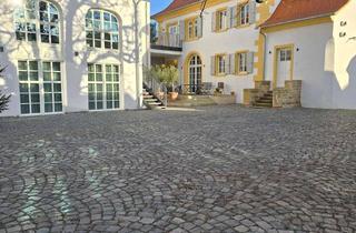 Wohnung mieten in Bahnhofstraße 11, 67159 Friedelsheim, Exklusives Single-/Pärchen-Apartment mit offener Wohnküche und Galerie – Jagdhaus