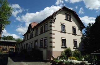 Haus kaufen in 06542 Holdenstedt, Sehr schönes Zweifamilienhaus zu verkaufen