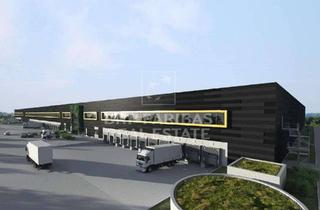 Gewerbeimmobilie mieten in 97232 Giebelstadt, NEUBAUENTWICKLUNG || Logistikzentrum Airpark Giebelstadt