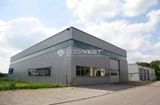 Gewerbeimmobilie mieten in 09356 St. Egidien, Attraktive Lager- und Logistikflächen mit Seitenandienung