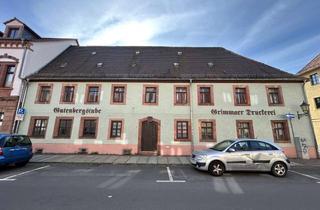 Anlageobjekt in 04668 Grimma, Denkmalgeschütztes Sanierungsobjekt im Altstadtkern von Grimma