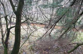 Grundstück zu kaufen in Norderweg, 24980 Meyn, 6 ha Wald + Biotop am Urstromtal in Meyn - Preis noch etwasVHB