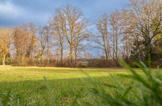 Grundstück zu kaufen in 91083 Baiersdorf, Baugrundstück in Igelsdorfer Bestlage