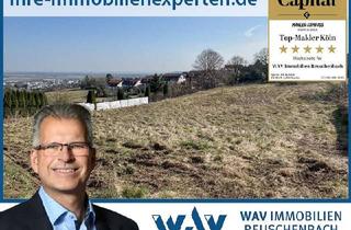 Grundstück zu kaufen in 53332 Bornheim, Attraktives Grundstück mit Entwicklungspotenzial in Bornheim-Hemmerich