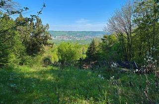 Grundstück zu kaufen in 07749 Wenigenjena, Gartengrundstück im Hausbergviertel mit unverbaubarem Panoramablick