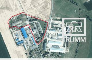 Gewerbeimmobilie kaufen in Bad Lausicker Straße 13, 04654 Frohburg, 32.000 m² Grundstück mit Hallen – ehemaliger Schweinezucht- und Mastbetrieb