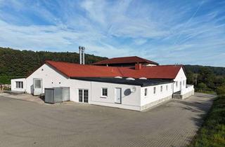 Gewerbeimmobilie mieten in 35708 Haiger, Gewerbefläche mit großem Hof: Werkstatt, Atelier, Lager, Ausstellung + Glasfaser vorhanden