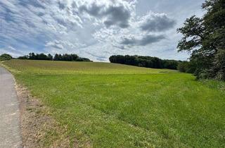 Immobilie kaufen in 96182 Reckendorf, Ackerfläche/Wald, 6,1 ha, Naturpark Haßberge - Gemarkung Reckendorf, auch teilbar!