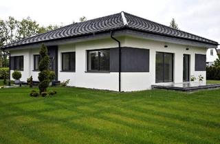 Einfamilienhaus kaufen in 17309 Pasewalk, Pasewalk - REAL FOTOS Einfamilienhaus großes Grundstück Tolle Lage