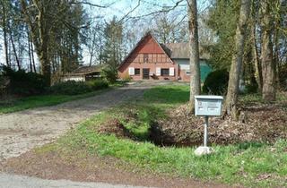Bauernhaus kaufen in 21737 Wischhafen, Wischhafen - Bauernhaus mit Home Office