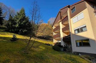 Wohnung mieten in Landhausstraße 55, 75399 Unterreichenbach, Modernisierte Wohnung mit zwei Zimmern sowie Balkon und Einbauküche in Unterreichenbach