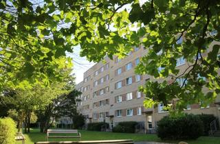 Wohnung mieten in Straße Der Befreiung 14, 39638 Gardelegen, 2 Raumwohnung mit Balkon in ruhiger Lage