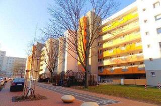 Wohnung mieten in Riesengebirgsstr., 53119 Tannenbusch, Frisch sanierte, großzügige 4-Zimmer-Wohnung mit Balkon – ideal für Familien oder Wohngemeinschaften