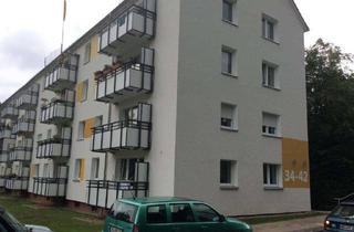 Wohnung mieten in Poelzigstraße 38, 28205 Peterswerder, Willkommen Zuhause: Ansprechende 3-Zimmer-Wohnung in ruhiger WEG-Anlage