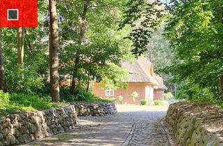 Haus kaufen in 18445 Preetz, Waldidyll im Landkreis Vorpommern-Rügen!!