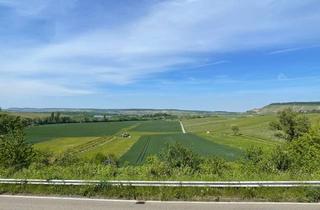 Haus kaufen in 74245 Löwenstein, Renovierungsobjekt mit Potenzial: EFH in Löwenstein-Reisach mit tollem Blick auf den Breitenauer See