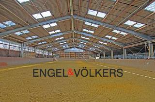 Einfamilienhaus kaufen in 42499 Hückeswagen, Reitsportanlage mit hochwertigem und modernen Einfamilienhaus und fünf Hektar Land