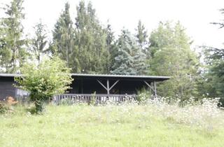 Haus kaufen in Simonshof, 67806 Katzenbach, Ansprechendes und gepflegtes 5-Zimmer-Haus in Katzenbach