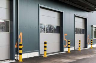 Gewerbeimmobilie mieten in 06184 Kabelsketal, 6.800 m² in Kabelsketal I provisionsfrei & ab sofort