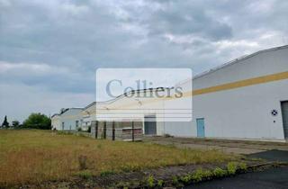 Gewerbeimmobilie mieten in 04758 Oschatz, Lager- und Logistikfläche an der B6