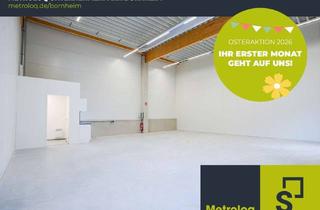 Gewerbeimmobilie mieten in Rosental, 53332 Bornheim, Osterangebot // Der erste Monat kostenlos - sichern Sie sich jetzt die letzten Flächen