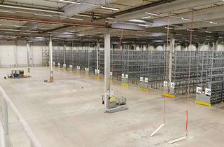 Gewerbeimmobilie mieten in Im Langental, 66539 Neunkirchen, Ca. 3.000 qm Lager- / Logistikfläche zu vermieten mit Sprinkleranlage
