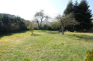 Grundstück zu kaufen in 24357 Fleckeby, Baugrundstück in ruhiger Lage im Ortskern von Fleckeby