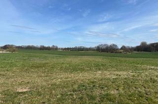 Grundstück zu kaufen in Bergweg, 17493 Friedrichshagen, Ruhig gelegenes Baugrundstück in Friedrichshagen bei Greifswald