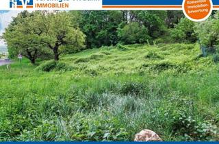 Grundstück zu kaufen in 67814 Dannenfels, Großes Baugrundstück für 1-2 Familienhäuser