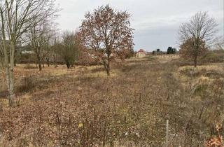 Grundstück zu kaufen in 16225 Eberswalde, 18.662 m² Baureifes Land in Eberswalde -Mischgebiet