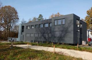 Gewerbeimmobilie kaufen in 72488 Sigmaringen, Vielfältig nutzbares Bürogebäude/Praxisgebäude