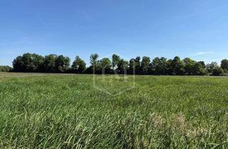 Immobilie kaufen in 47929 Grefrath, Grünland in Grefrath