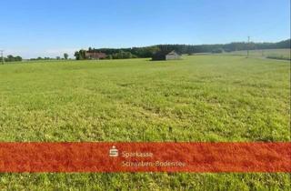 Gewerbeimmobilie kaufen in 87769 Oberrieden, Große Wiese bei Oberrieden