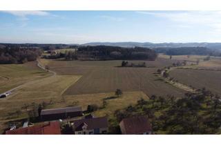 Gewerbeimmobilie kaufen in 88373 Fleischwangen, Erwerb auch für Nicht-Landwirte möglich! Landwirtschafltiches Grundstück in Unterwaldhausen