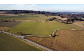 Gewerbeimmobilie kaufen in 88373 Fleischwangen, Mit guten Bewirtschaftungsmöglichkeiten! Gut andienbare landwirtschaftliche Fläche