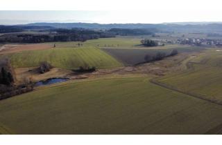 Gewerbeimmobilie kaufen in 88373 Fleischwangen, Gut andienbar! Landwirtschaftliche Fläche mit guten Bewirtschaftungsmöglichkeiten
