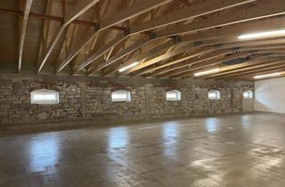 Geschäftslokal mieten in 01187 Dresden, Ideale Lagerfläche: trocken, hell und großzügig im Dachgeschoss!