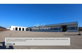 Büro zu mieten in 72351 Binsdorf, 5.500 m² Produktionshalle / Lagerhalle