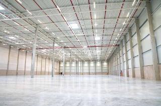 Gewerbeimmobilie mieten in 09244 Lichtenau, Projektierter Neubau einer Lager- und Logistikhalle