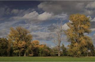 Grundstück zu kaufen in 63322 Rödermark, Top Baugrundstück in Rödermark-Ober-Roden