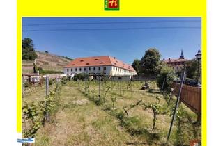 Einfamilienhaus kaufen in 01612 Nünchritz, Historisches Gebäude aus der Zeit des Barock