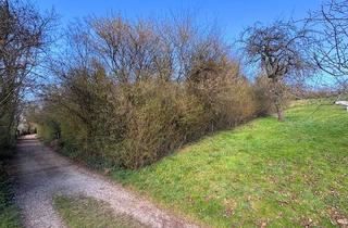 Grundstück zu kaufen in 73732 Esslingen, Esslingen am Neckar / Hegensberg - Natur pur am Oberen Hegensberg - Ihre Chance auf ein einzigartiges Grundstück in Esslingen!