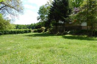 Einfamilienhaus kaufen in 96135 Stegaurach, Stegaurach - ZUHAUSE IST MEHR ALS EIN ORT!!! IN GROSSZÜGIGER ALLEINLAGE DIE EIGENEN IDEEN VERWIRKLICHEN!!!